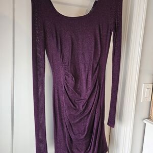 Elegant Purple Long Sleeve Dress